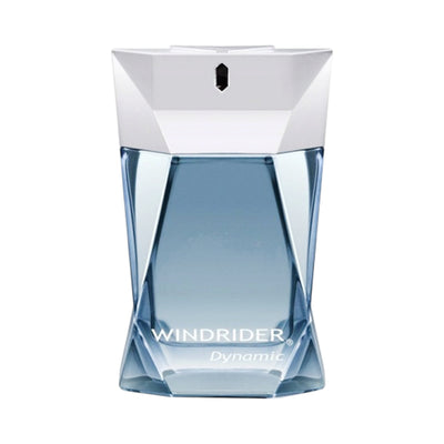 Yves De Sistelle Windrider dynamic