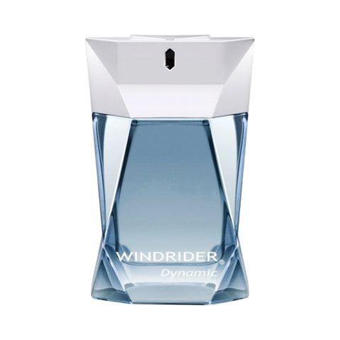 Yves De Sistelle Windrider dynamic